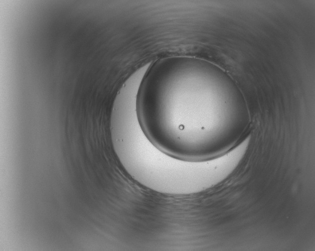 X0000063481202200602031917