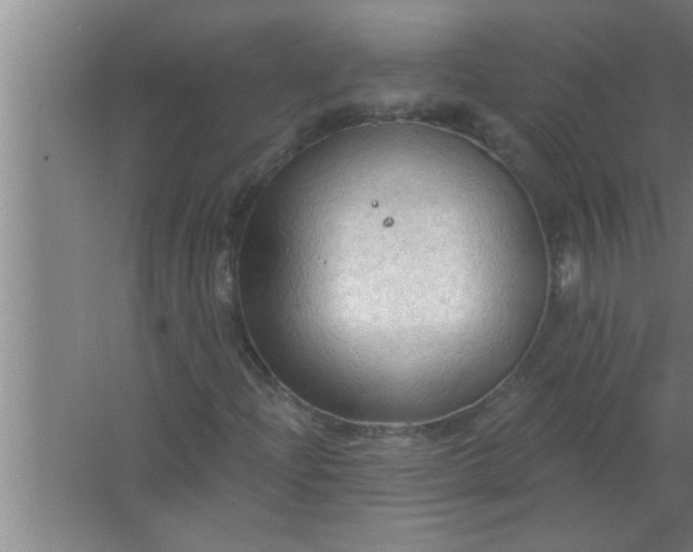 X0000063481204200602031917