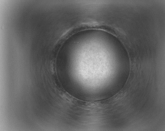 X0000063481205200602031917