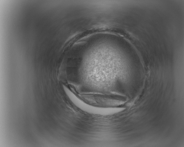 X0000063481206200602031917