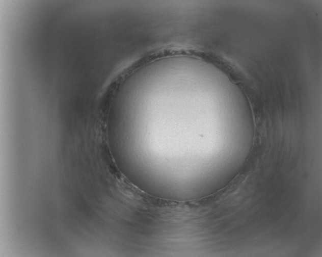 X0000063481207200602031917