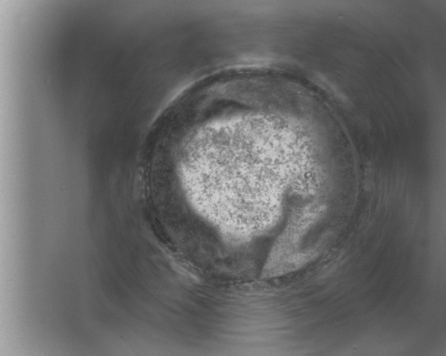 X0000063481208200602031917