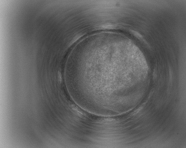 X0000063481209200602031917