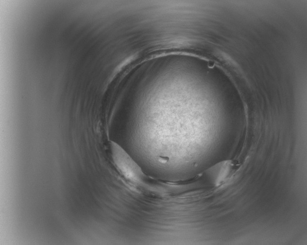 X0000063481210200602031917