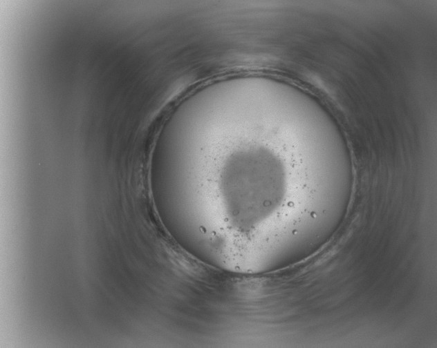 X0000063481211200602031917