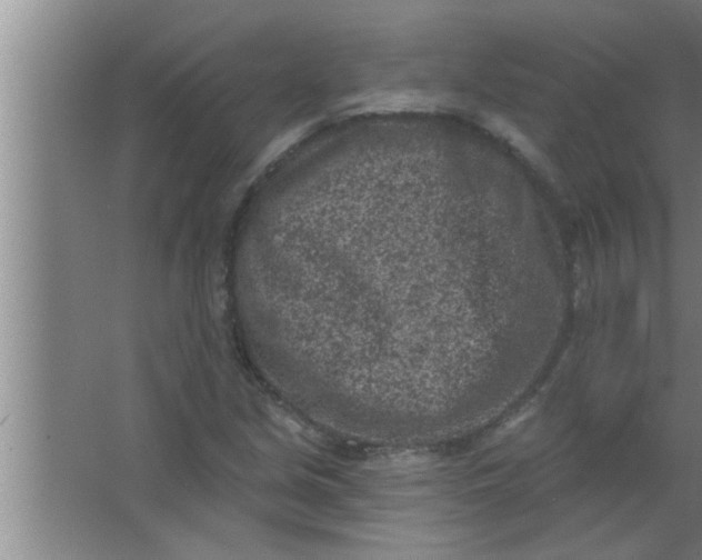 X0000063481213200602031917