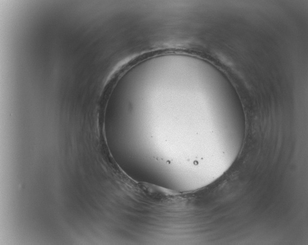 X0000063481214200602031917