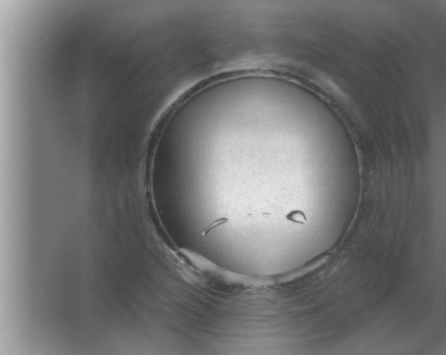 X0000063481216200602031917