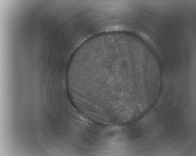 X0000063481217200602031917