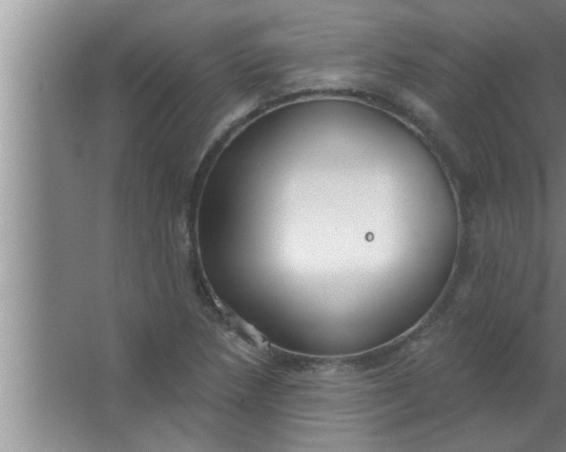 X0000063481218200602031917