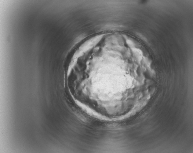 X0000063481219200602031917