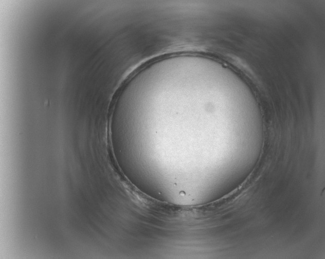 X0000063481220200602031917