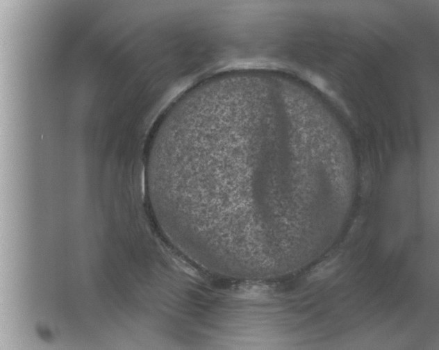 X0000063481221200602031917