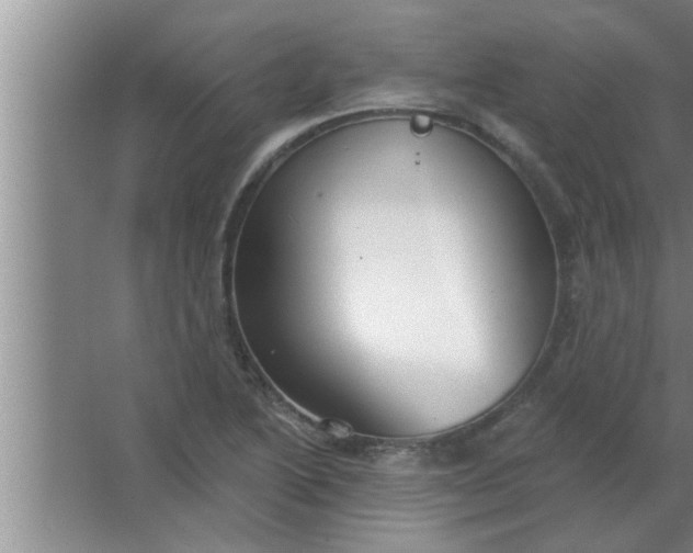 X0000063481222200602031917