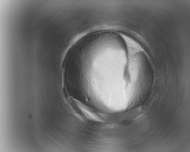 X0000063481223200602031917