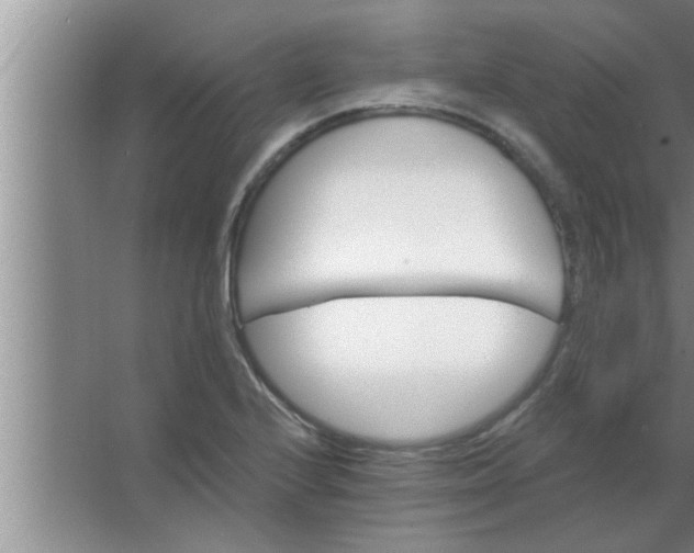 X0000063481224200602031917