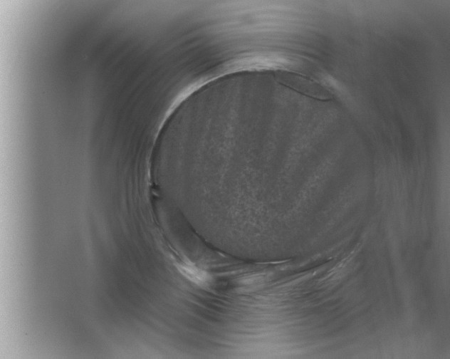 X0000063481226200602031917