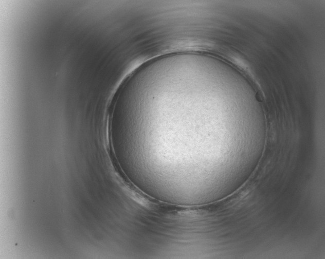 X0000063481227200602031917