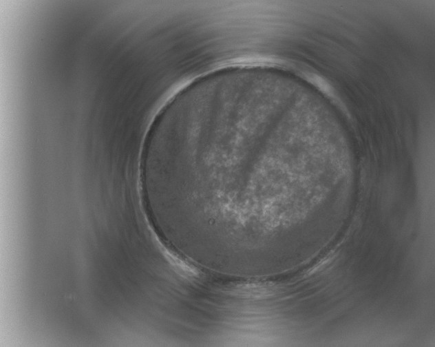 X0000063481229200602031917