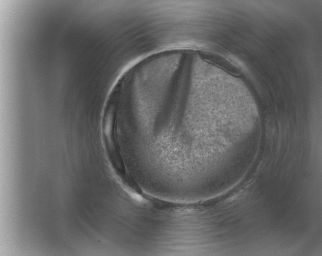 X0000063481230200602031917