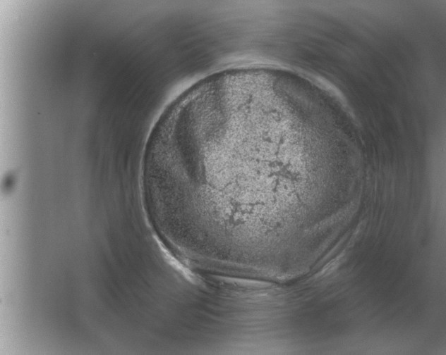 X0000063481231200602031917