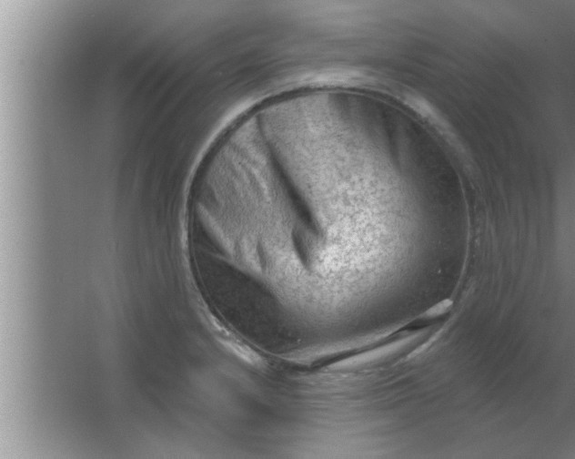 X0000063481232200602031917