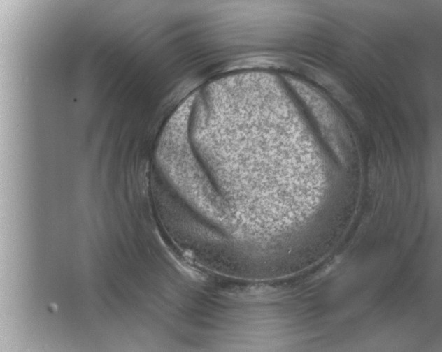 X0000063481233200602031917