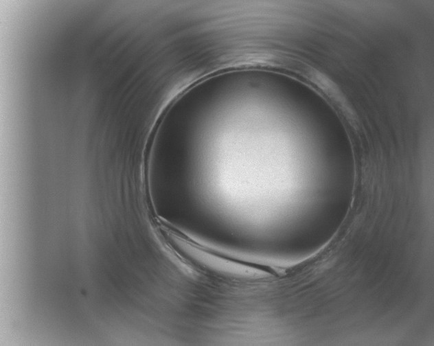 X0000063481234200602031917