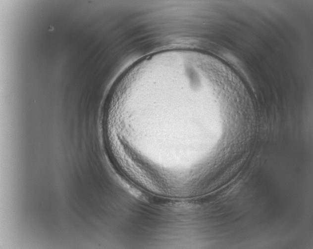 X0000063481235200602031917