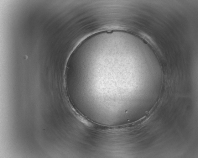 X0000063481236200602031917