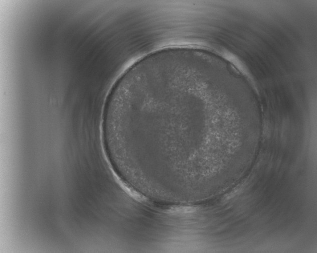 X0000063481237200602031917