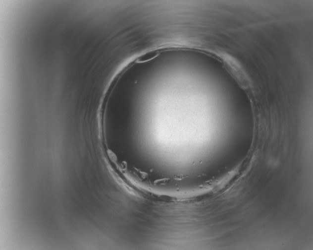 X0000063481238200602031917