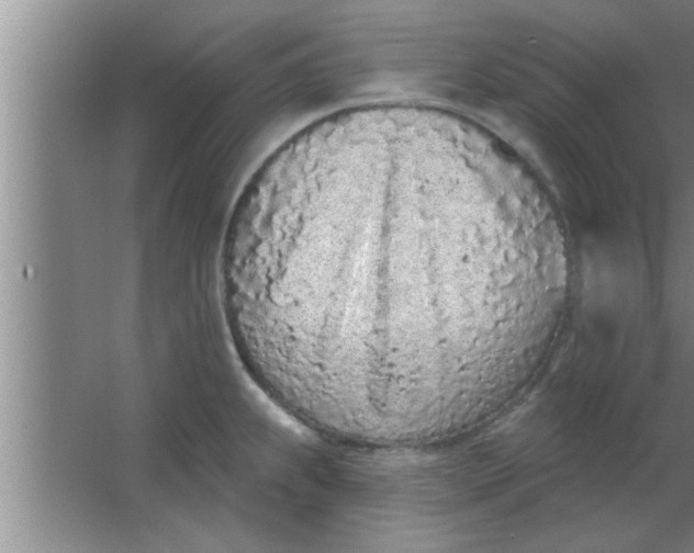 X0000063481239200602031917