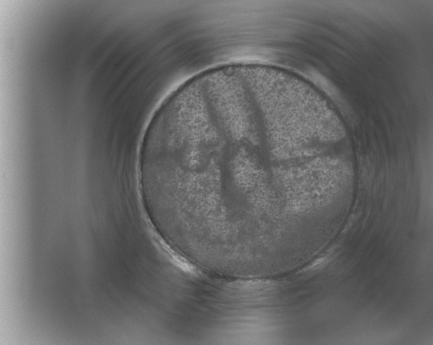 X0000063481240200602031917