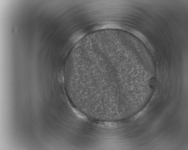 X0000063481241200602031917