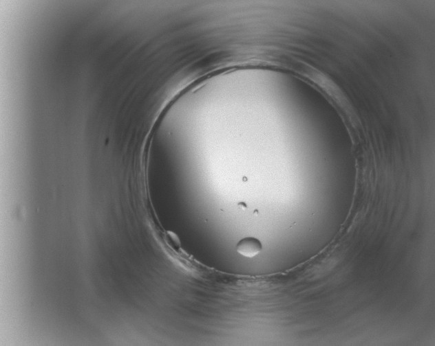 X0000063481242200602031917