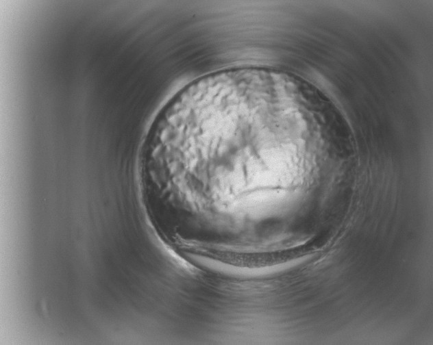 X0000063481243200602031917