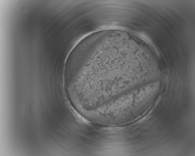 X0000063481244200602031917