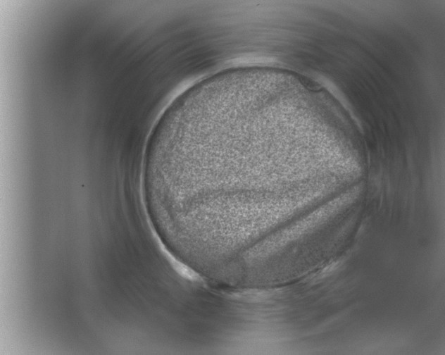 X0000063481245200602031917