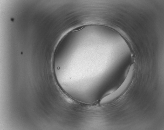 X0000063481246200602031917