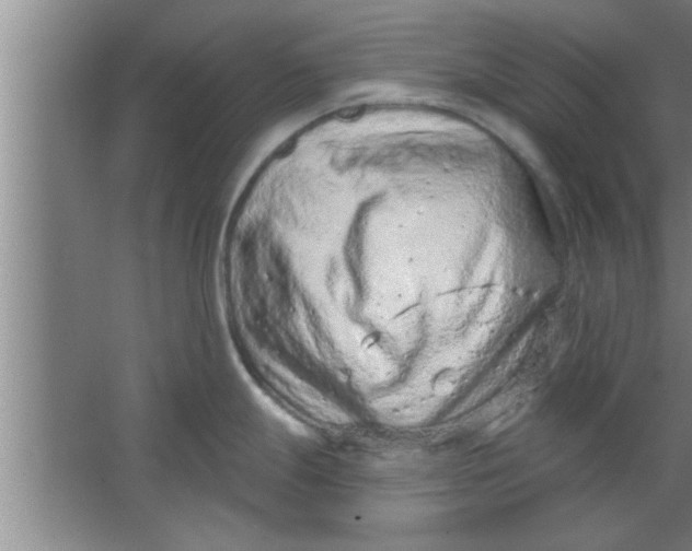 X0000063481247200602031917