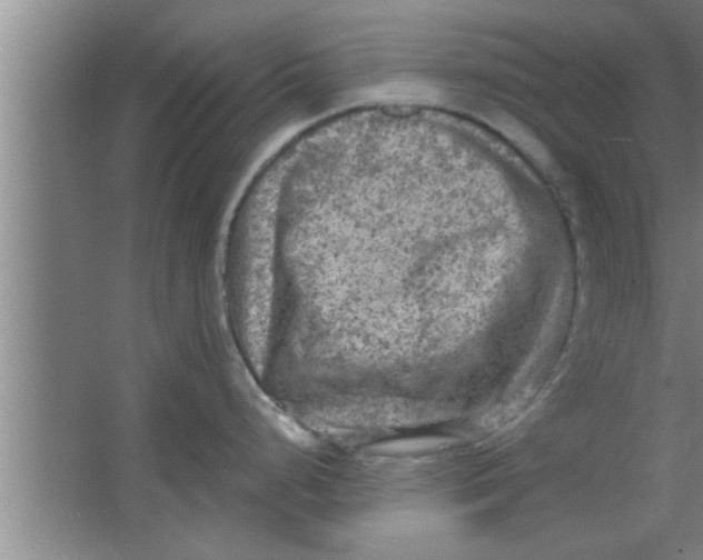 X0000063481248200602031917