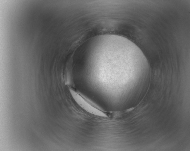 X0000063481250200602031917