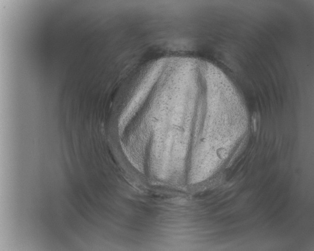 X0000063481251200602031917