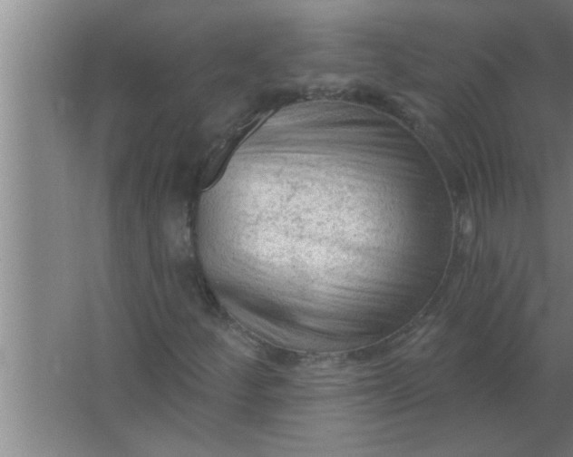 X0000063481252200602031916