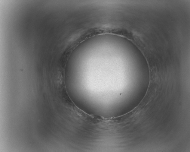 X0000063481253200602031916