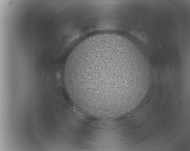 X0000063481254200602031916