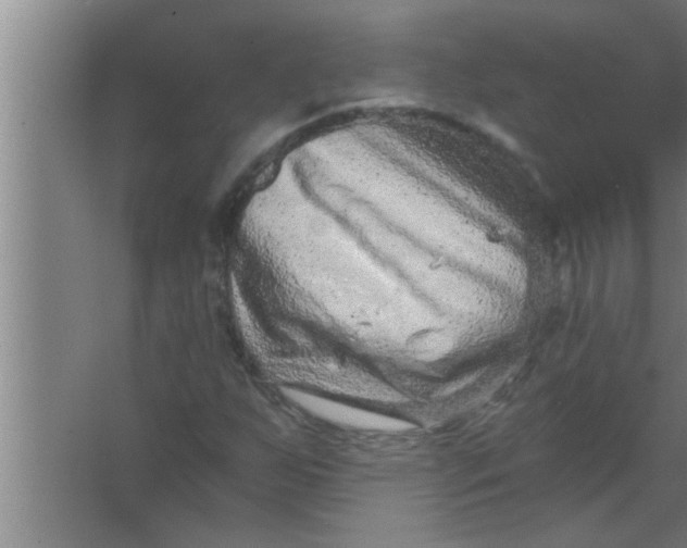 X0000063481255200602031916