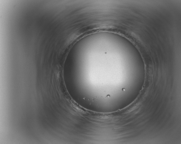 X0000063481257200602031916