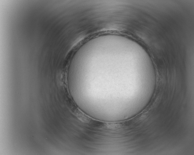 X0000063481258200602031916